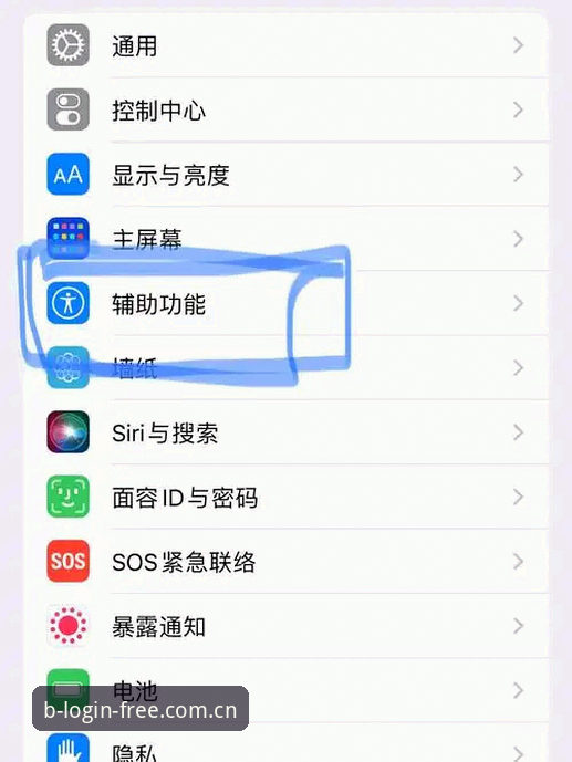 BSports苹果下载 B体育平台苹果下载全面评测:新手也能轻松上手的操作指南